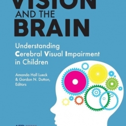 Book cover: Vision and the Brain